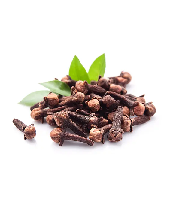 Cloves