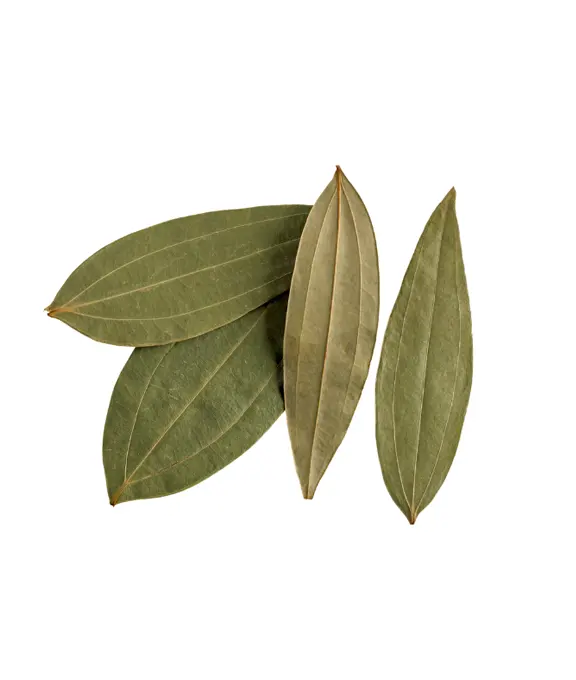 Bay Leaves