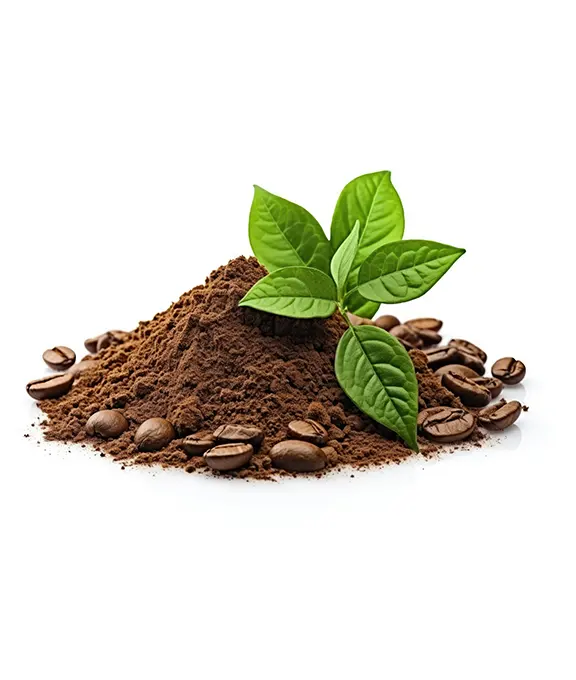 Ground Coffee