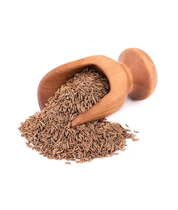 Cumin Seeds