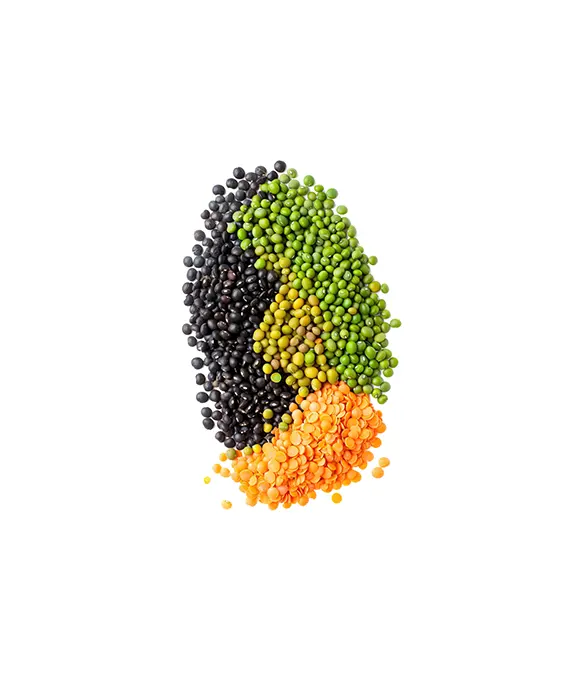 Pulses