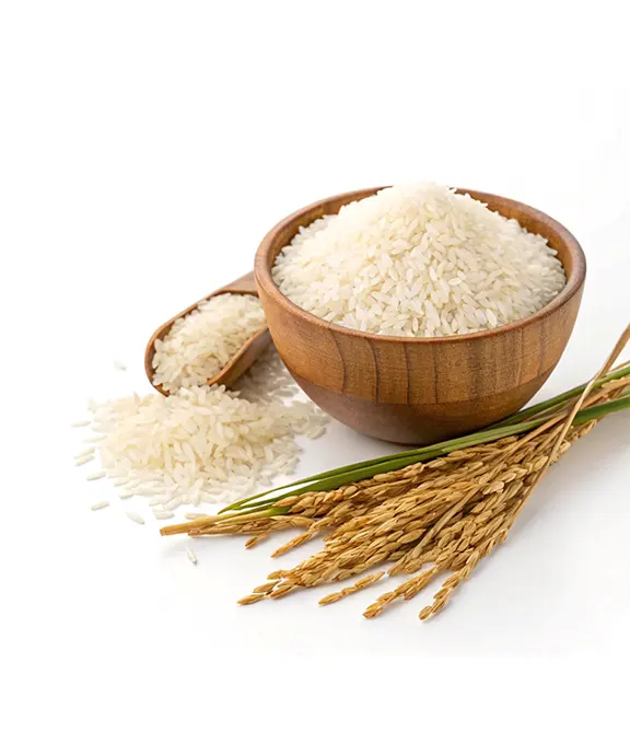 Rice