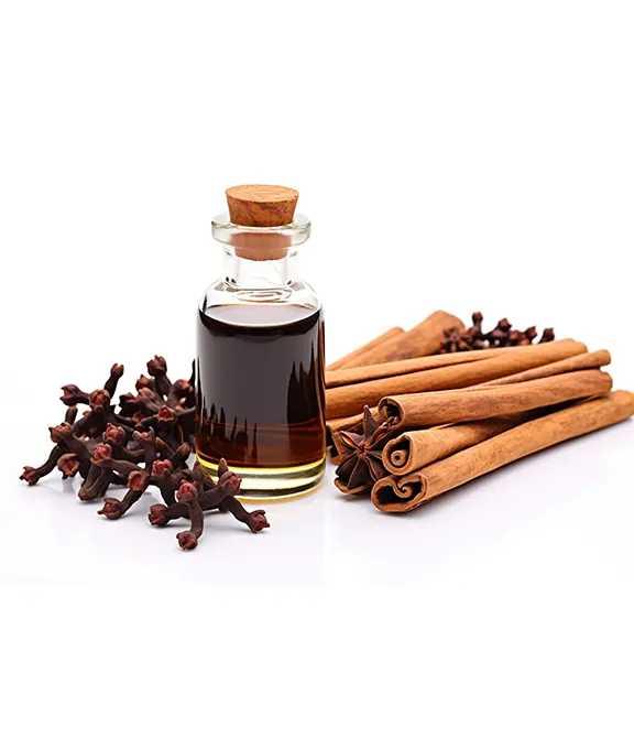 Spice Extracts