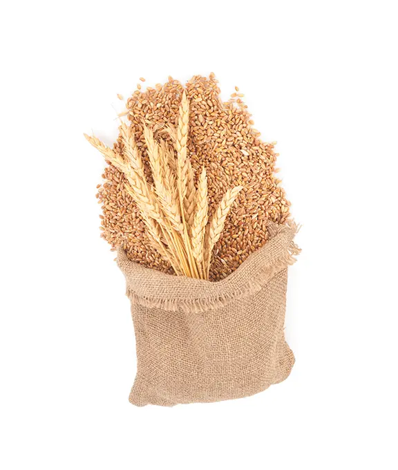 Wheat